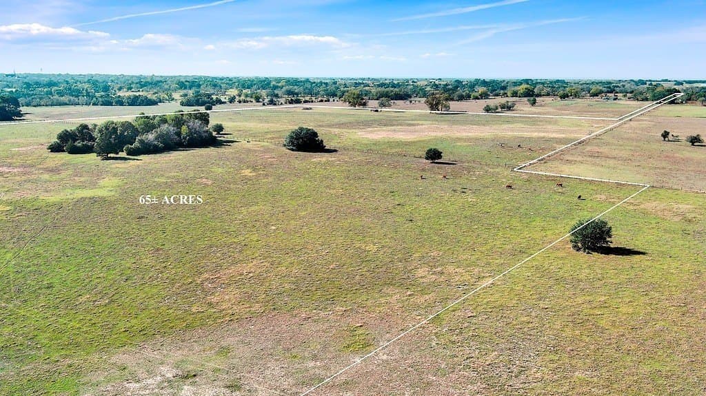 65 acres in Colorado County - photo 18