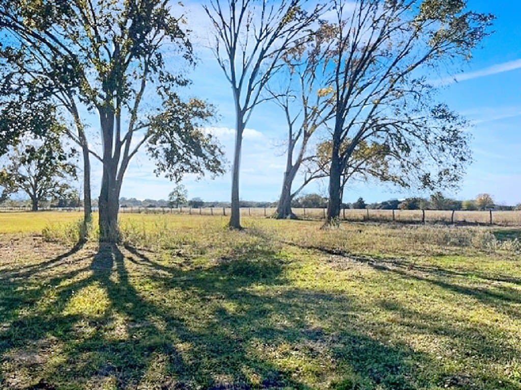 65 acres in Colorado County - photo 14