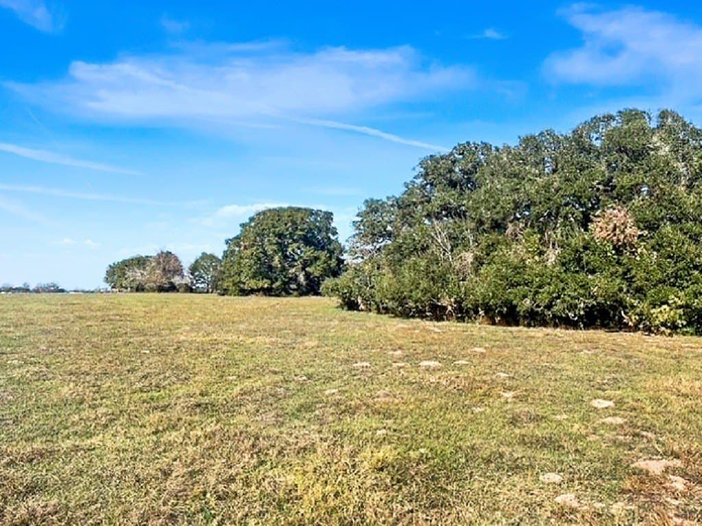 65 acres in Colorado County - photo 3