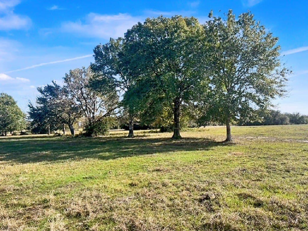 65 acres in Colorado County - photo 9