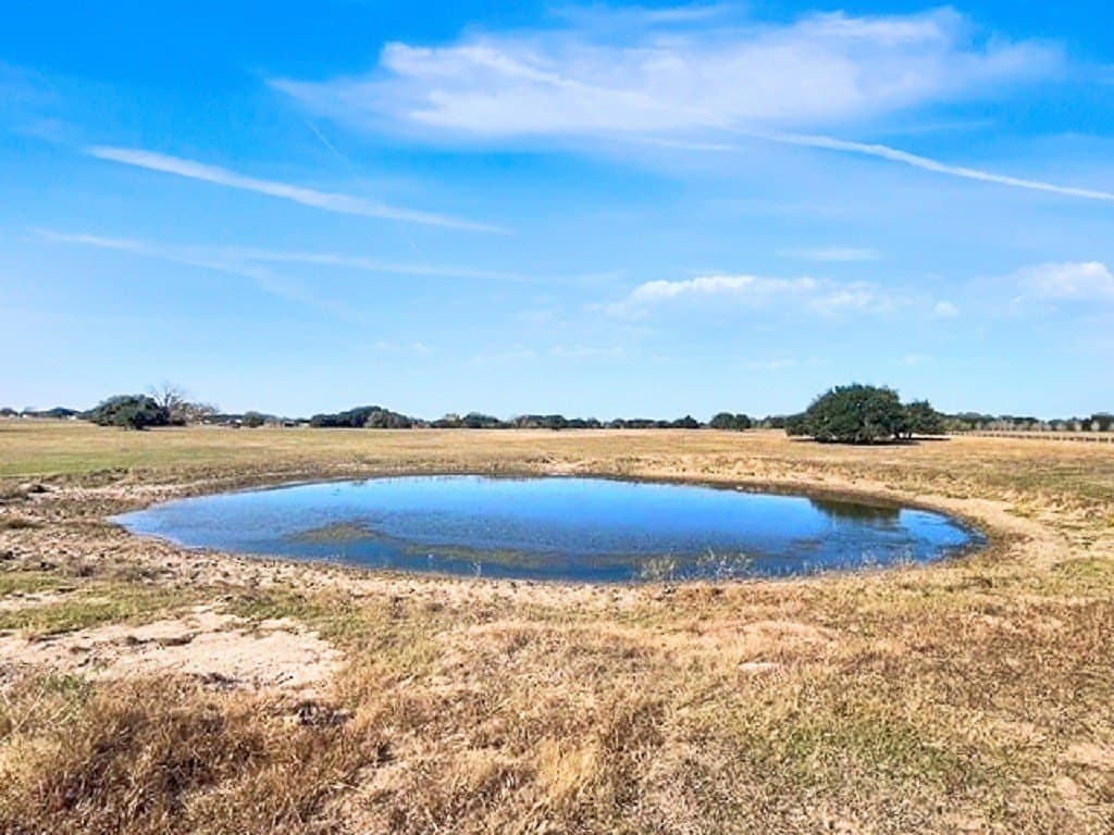 65 acres in Colorado County - photo 10