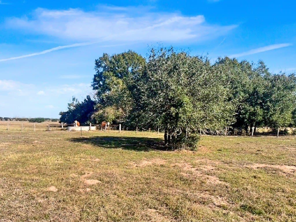 65 acres in Colorado County - photo 12