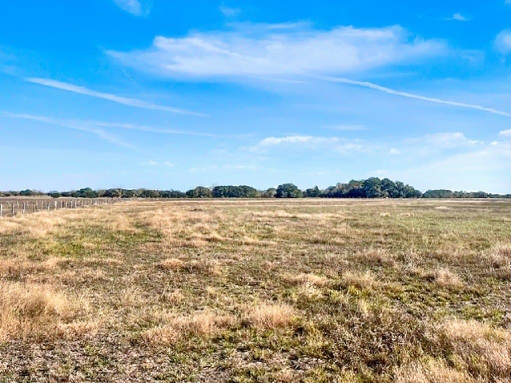 65 acres in Colorado County - photo 11