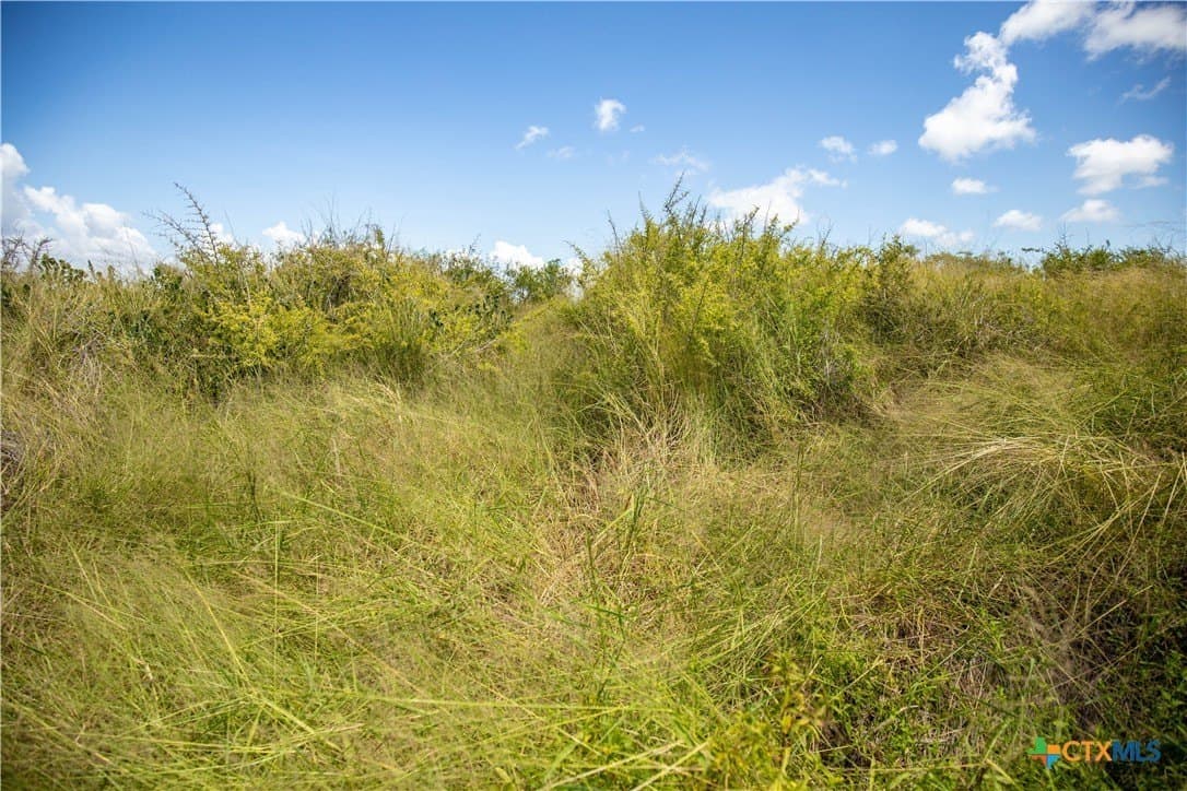 60.37 acres in Aransas County - photo 24