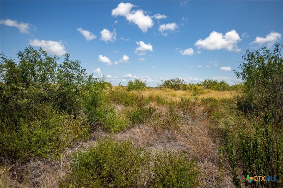 60.37 acres in Aransas County - photo 27