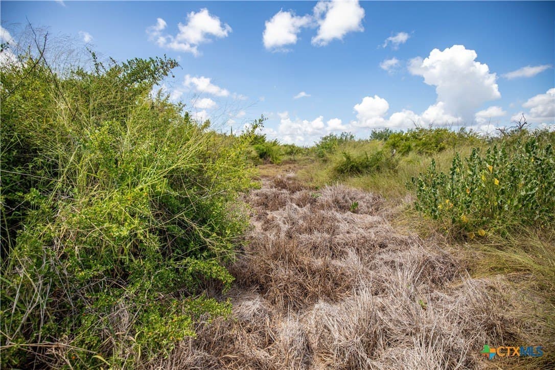 60.37 acres in Aransas County - photo 25