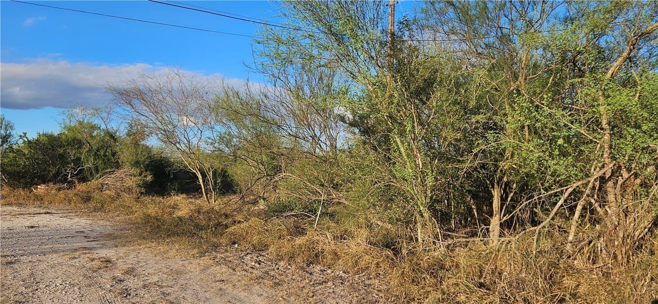 0.16 acres in Jim Wells County - photo 2