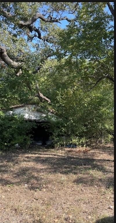 10.01 acres in Falls County - photo 4