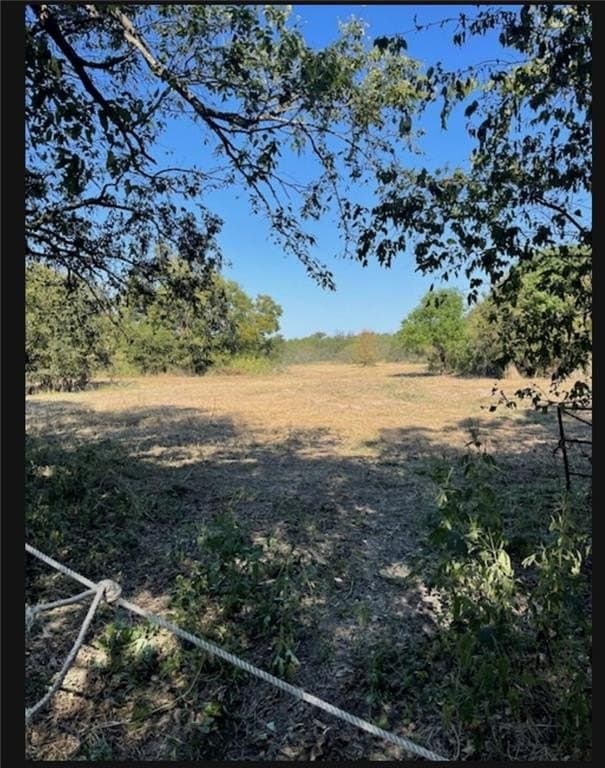 10.01 acres in Falls County - photo 5