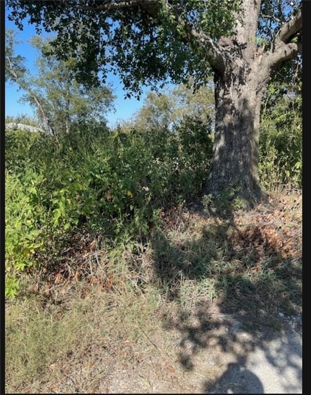 10.01 acres in Falls County - photo 6