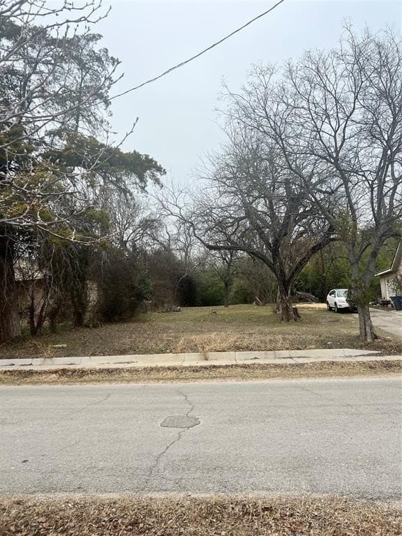 0.49 acres in Dallas County - photo 2