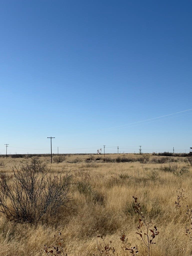 160 acres in Andrews County - photo 4