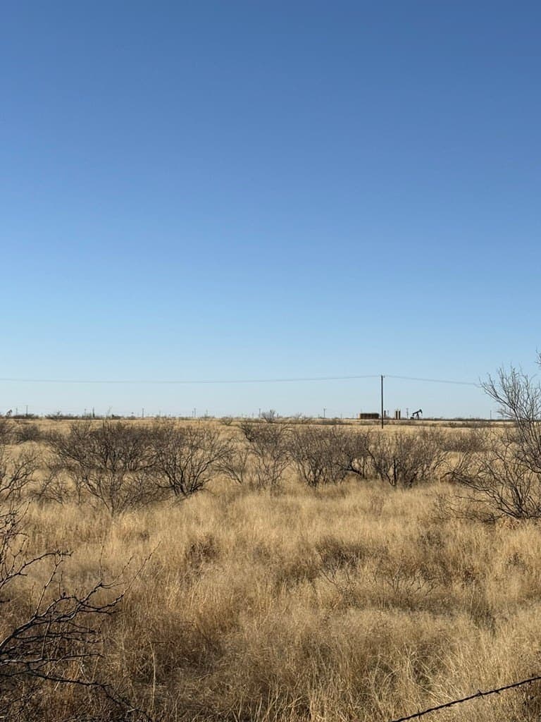 160 acres in Andrews County - photo 5