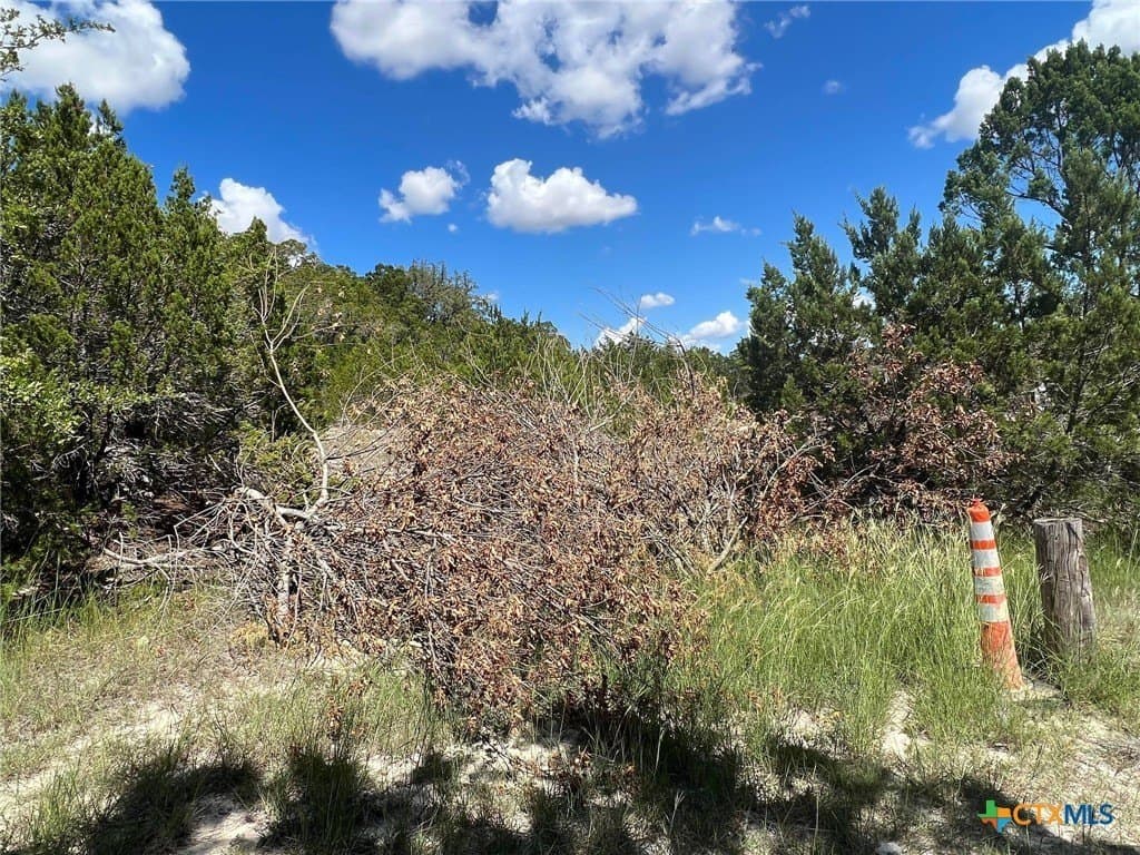0.35 acres in Coryell County - photo 2