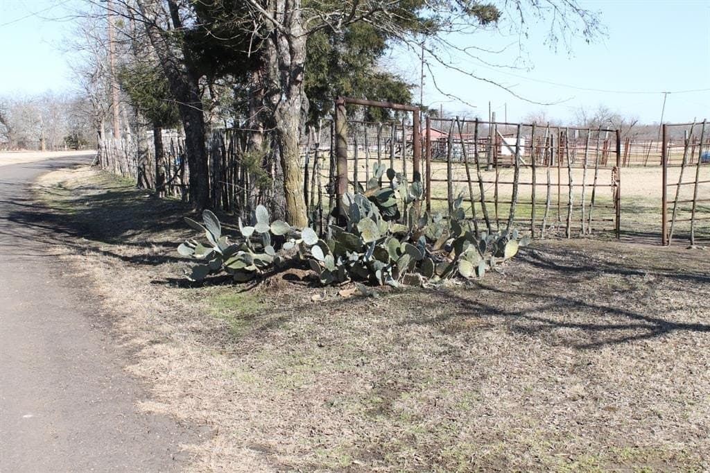 6.5 acres in Hopkins County - photo 7