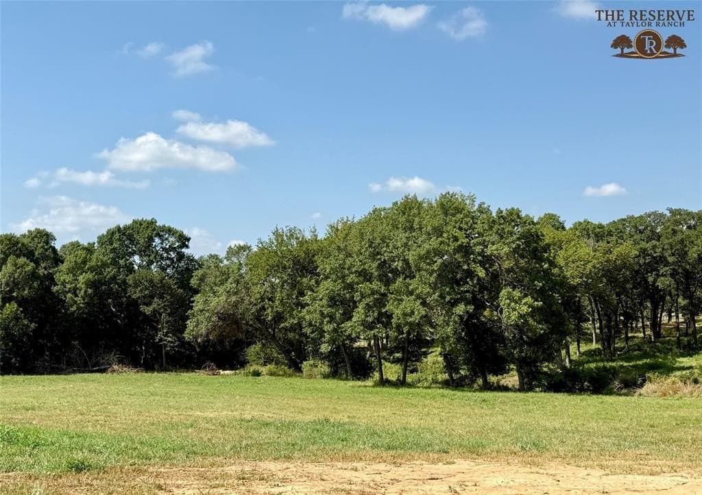 1.9 acres in Parker County - photo 2