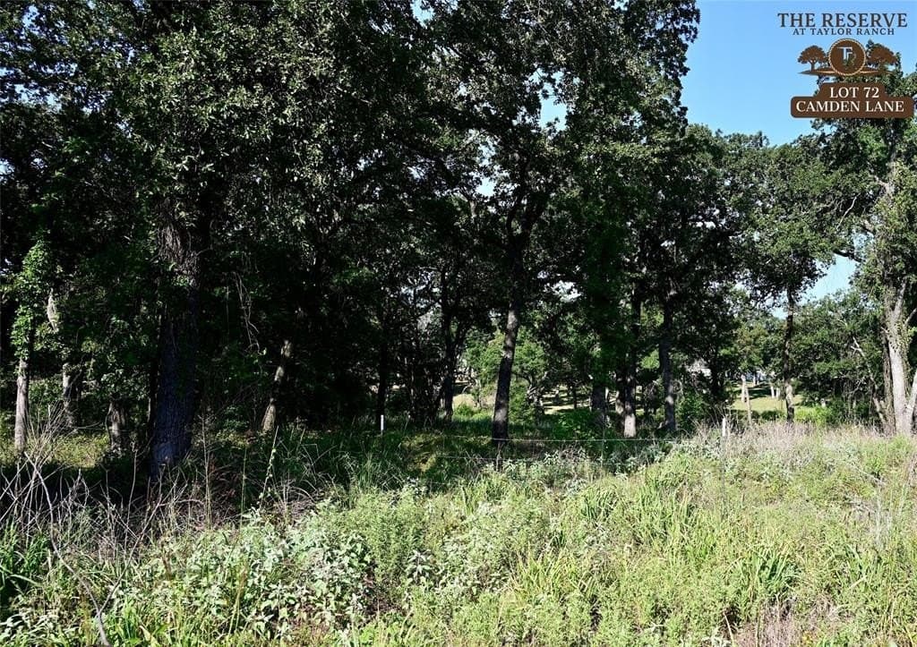 1.9 acres in Parker County - photo 3