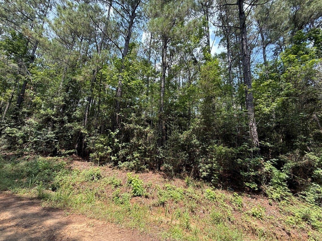 60 acres in Texas County - photo 10