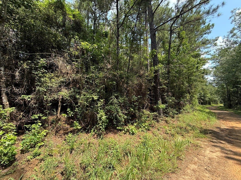 60 acres in Texas County - photo 3