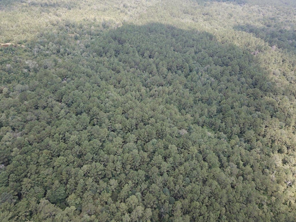 60 acres in Texas County - photo 7