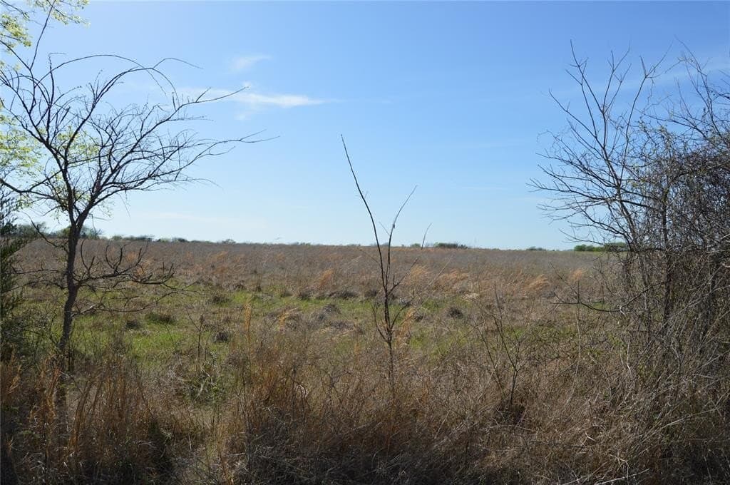 3 acres in Rains County - photo 4