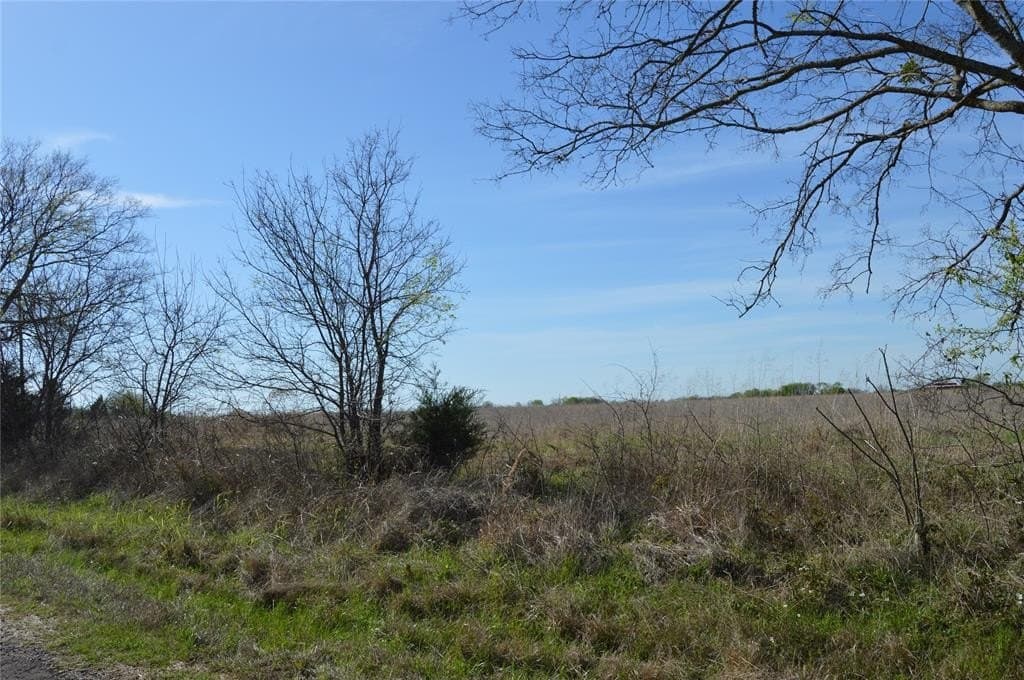 3 acres in Rains County - photo 5