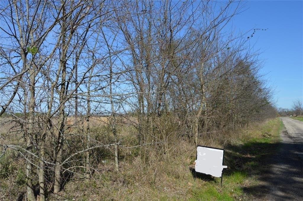 3 acres in Rains County - photo 20