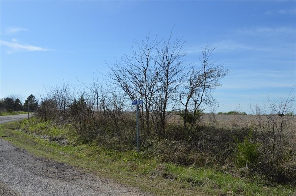 3 acres in Rains County - photo 7
