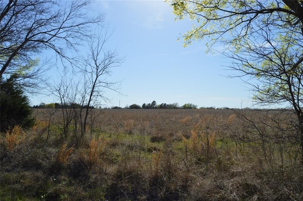 3 acres in Rains County - photo 3