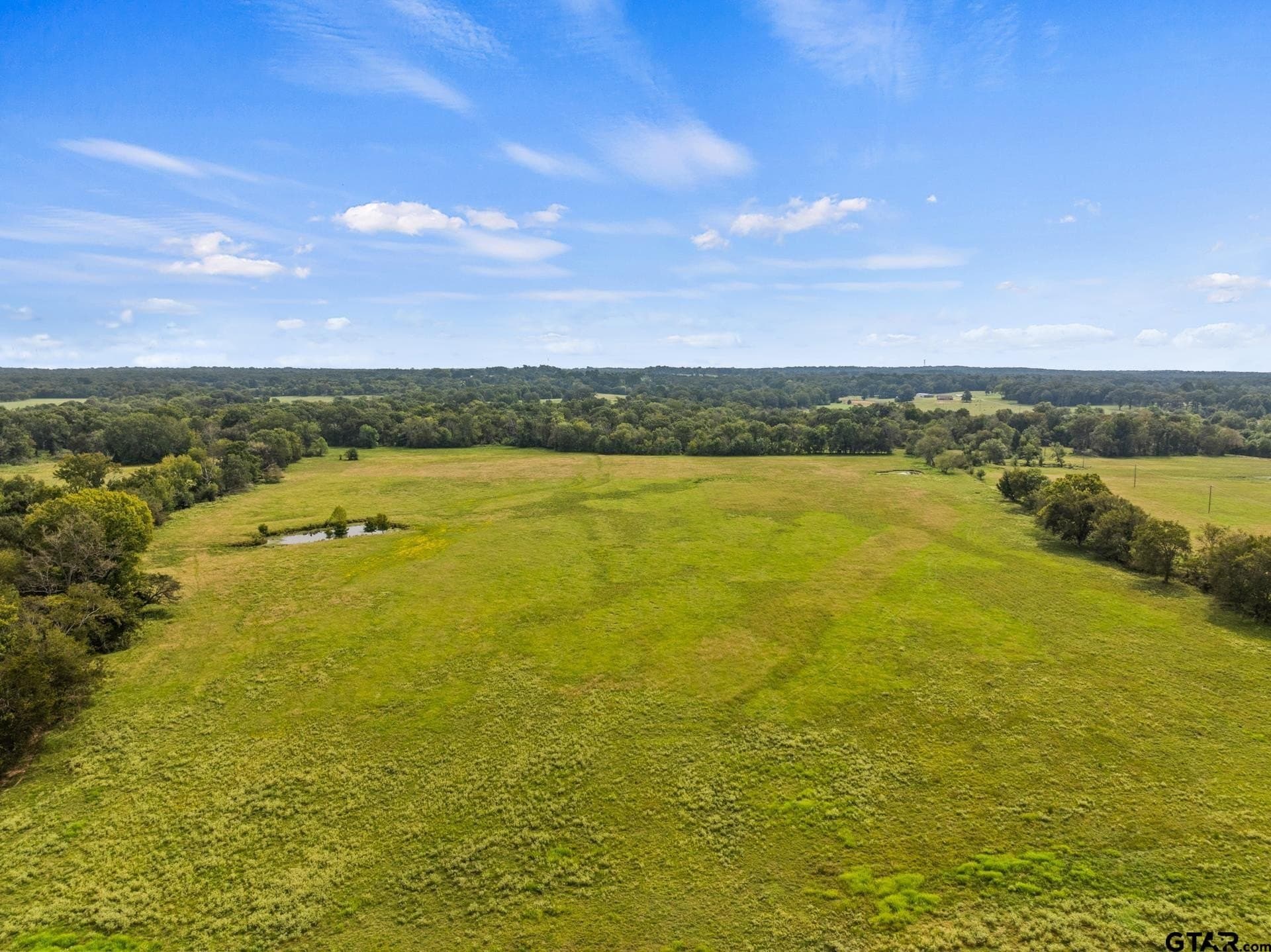 76.94 acres in Titus County - photo 5