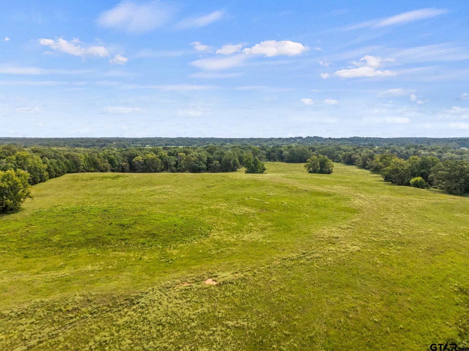 76.94 acres in Titus County - photo 4