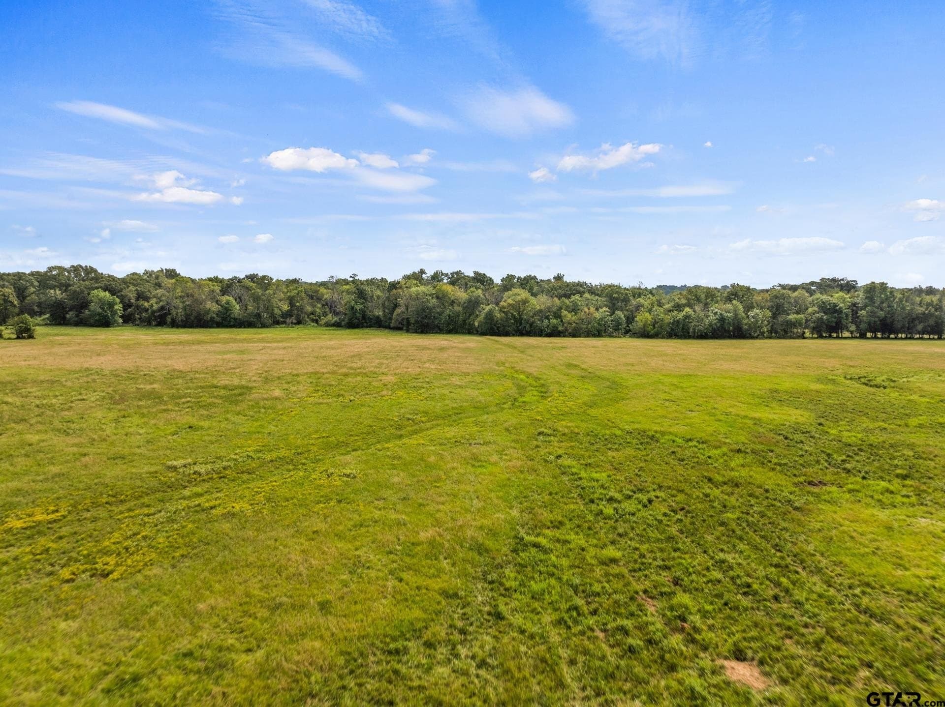 76.94 acres in Titus County - photo 7