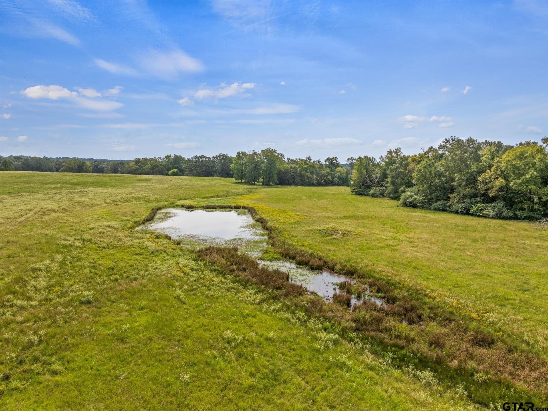 76.94 acres in Titus County - photo 2