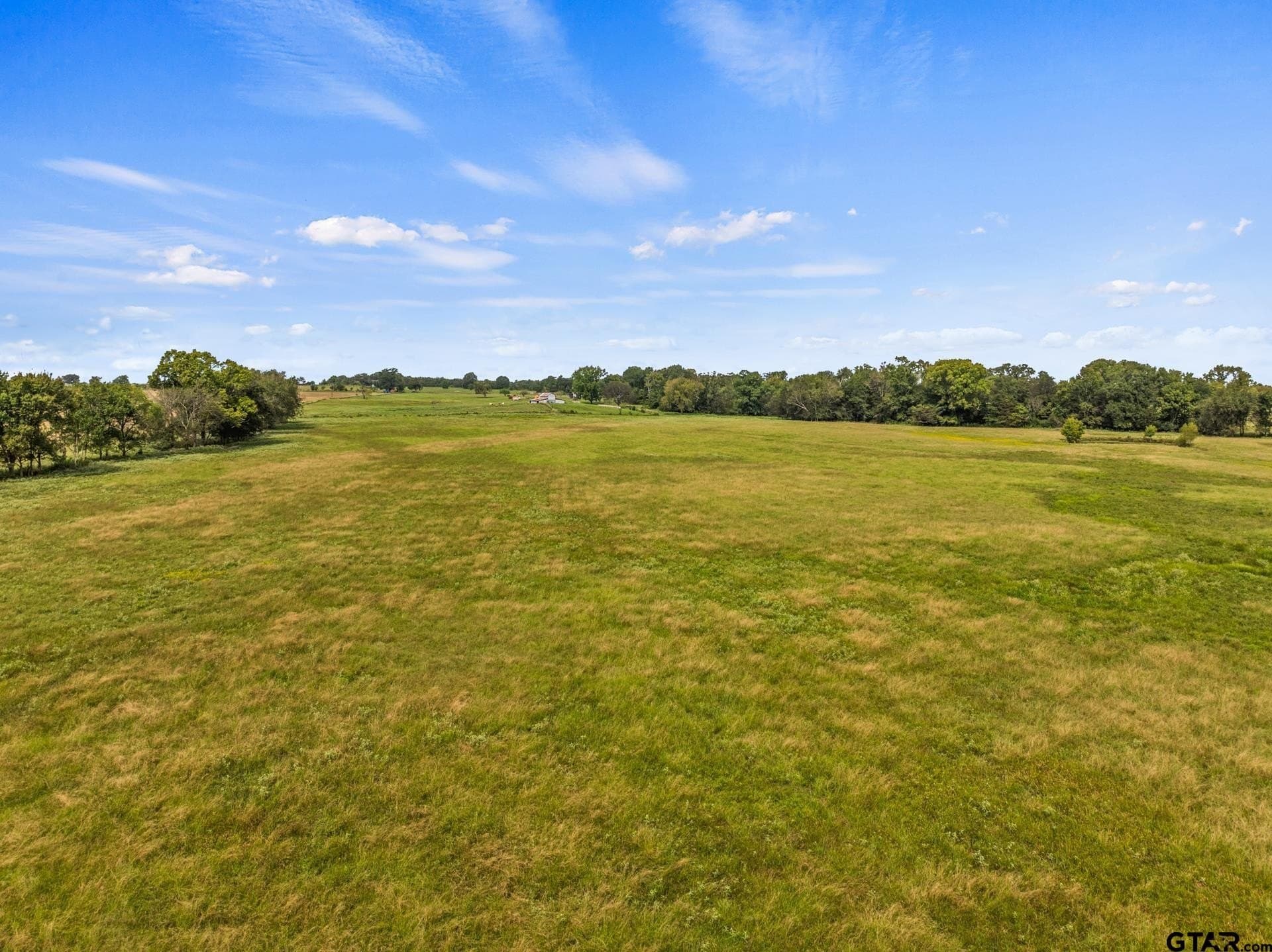 76.94 acres in Titus County - photo 9