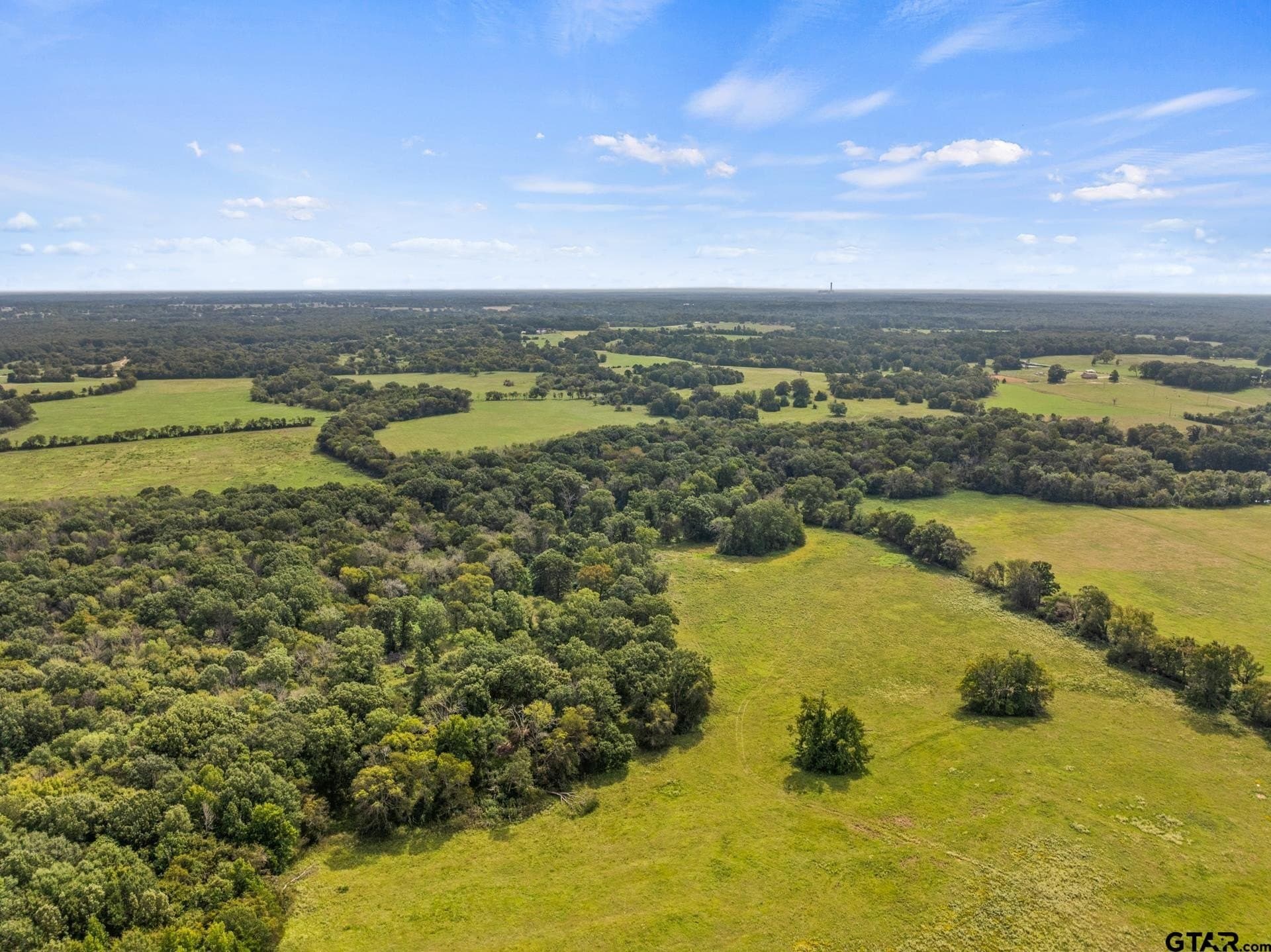 76.94 acres in Titus County - photo 10