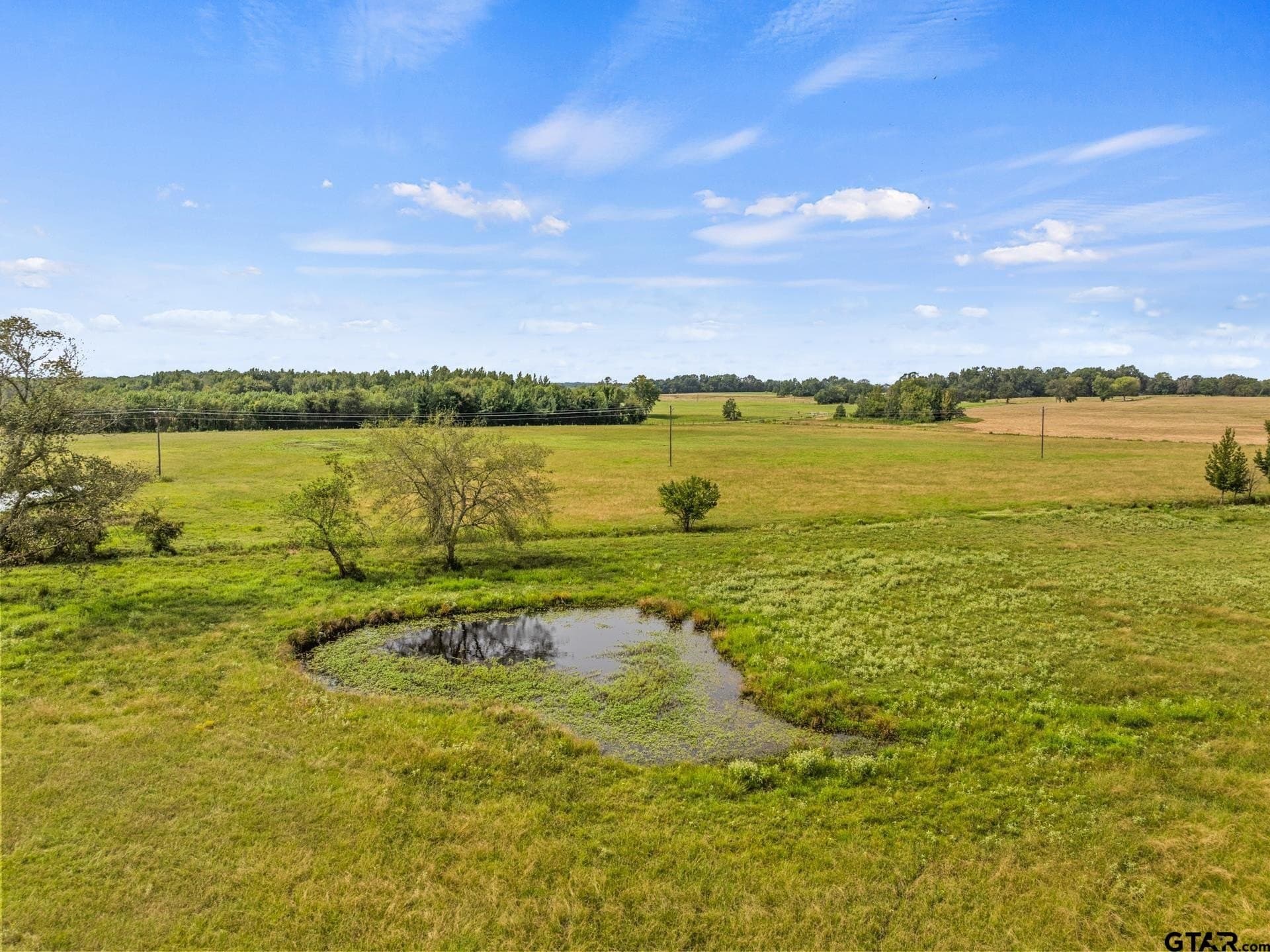 76.94 acres in Titus County - photo 8