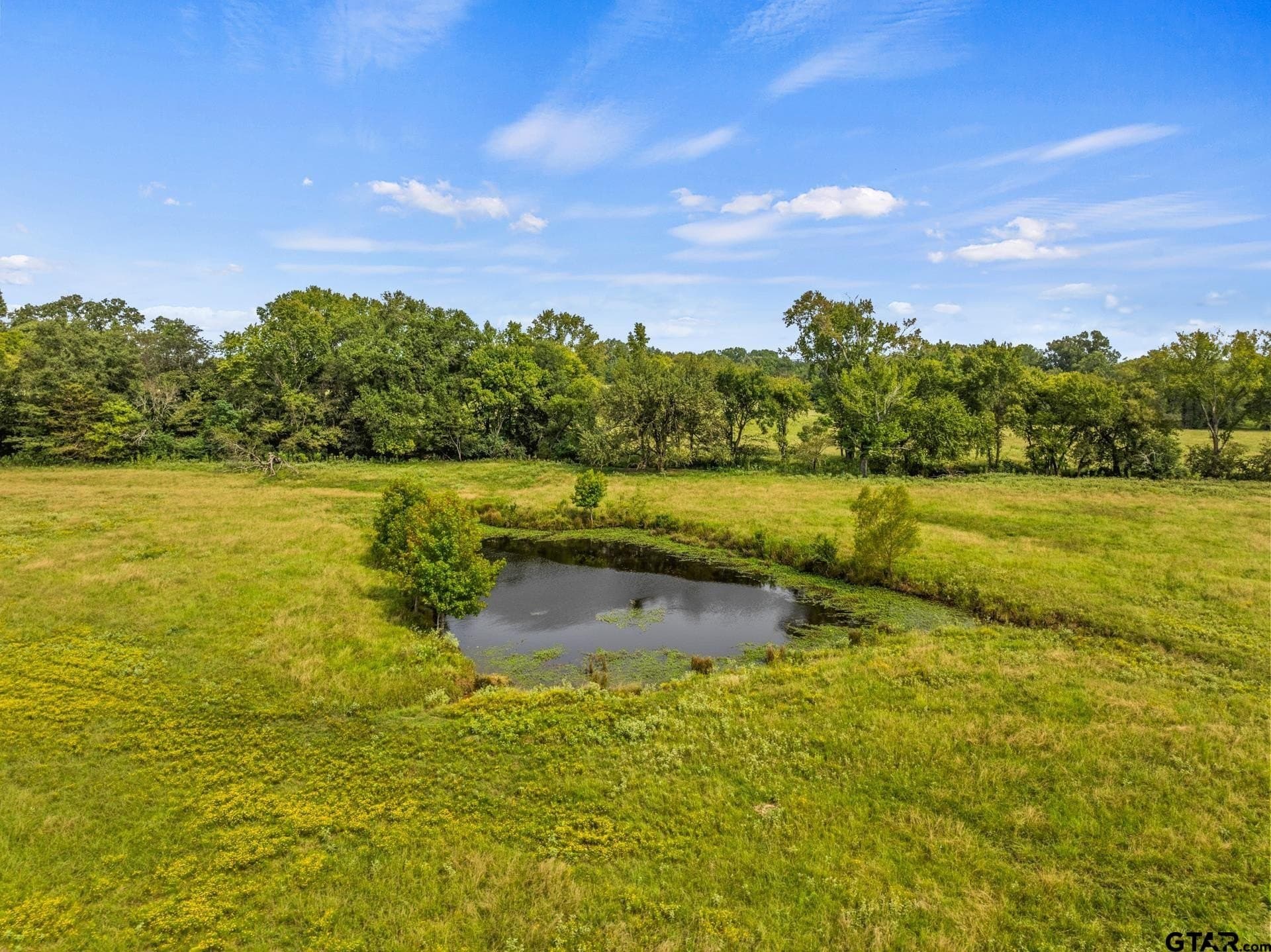 76.94 acres in Titus County - photo 6