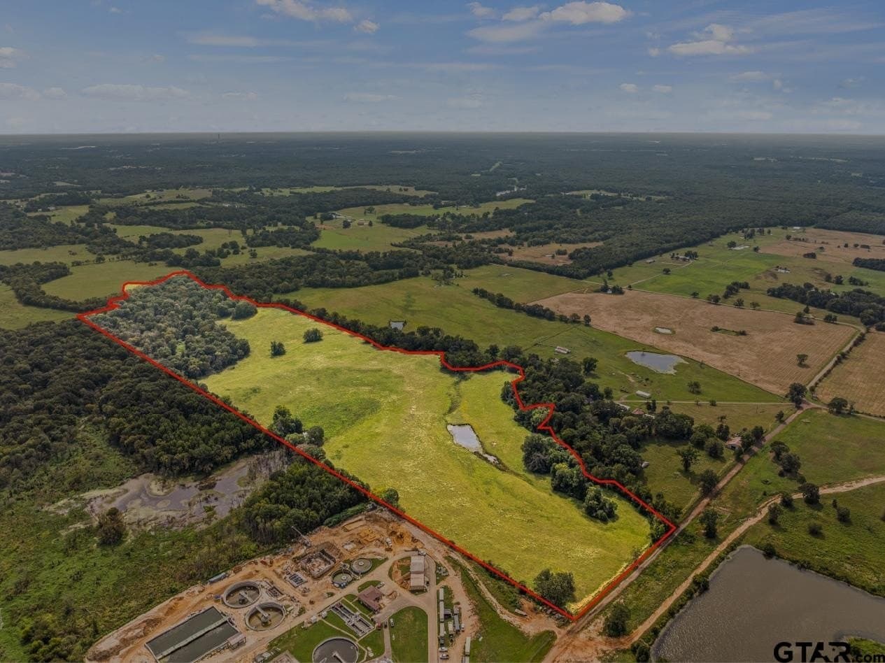 76.94 acres in Titus County - photo 3
