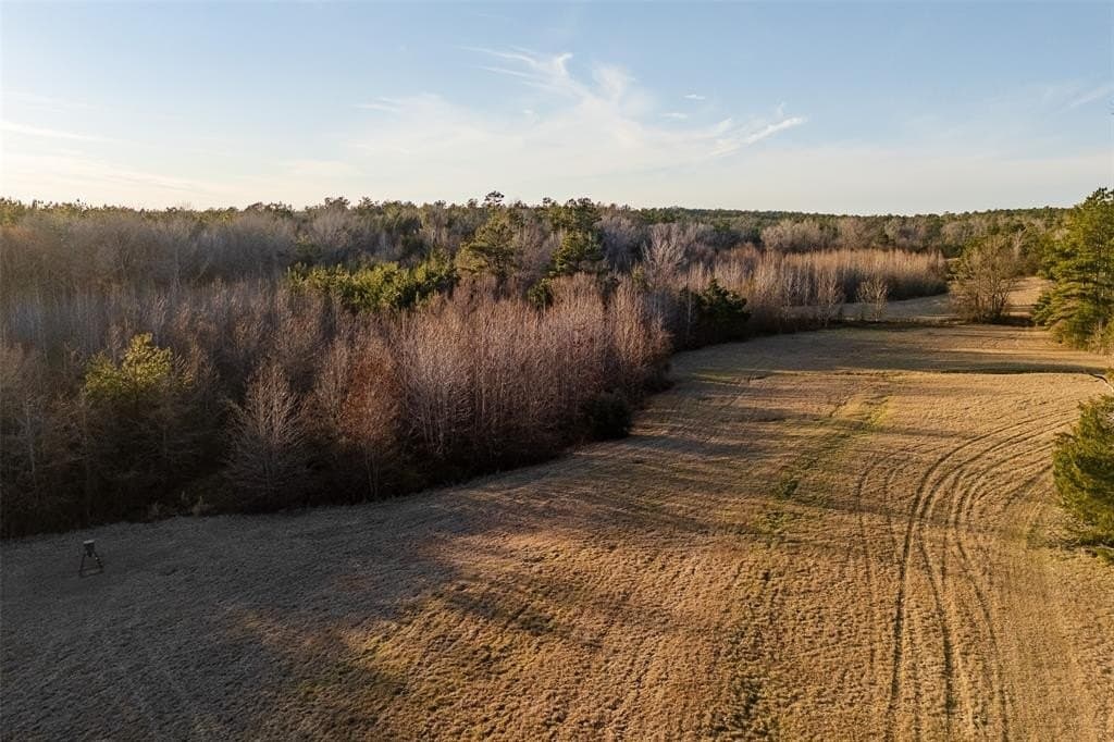 159.91 acres in Rusk County - photo 38