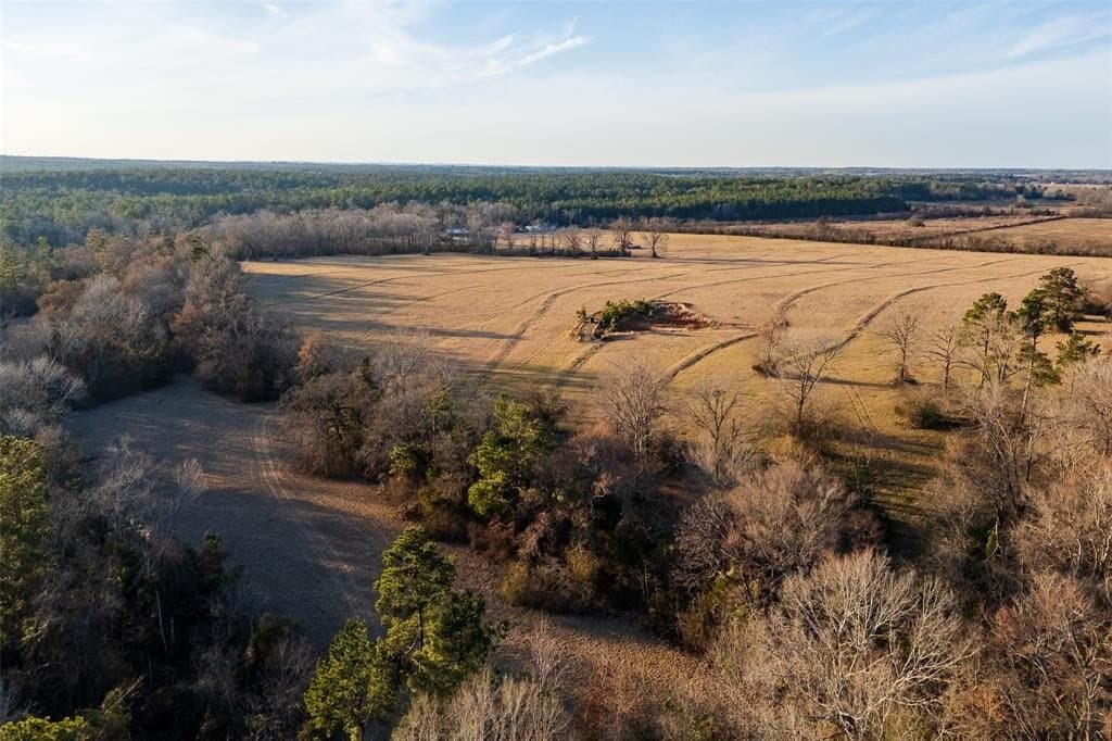 159.91 acres in Rusk County - photo 4