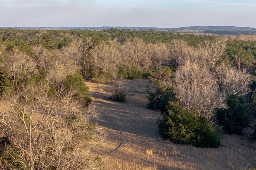159.91 acres in Rusk County - photo 39