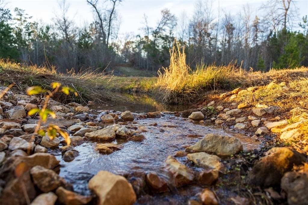 159.91 acres in Rusk County - photo 36