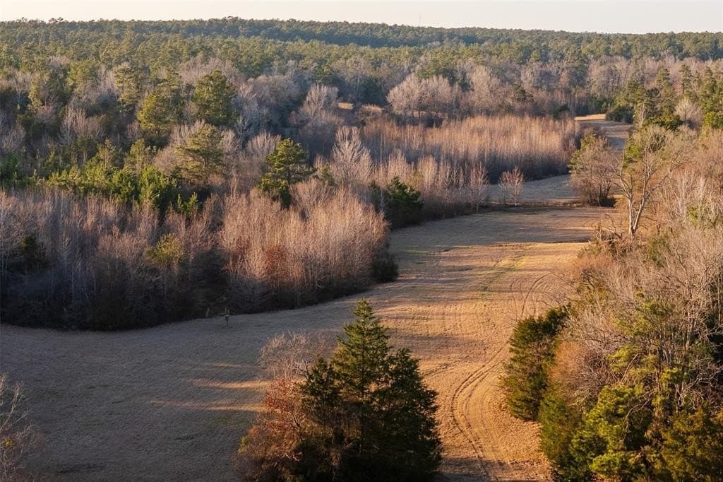 159.91 acres in Rusk County - photo 3