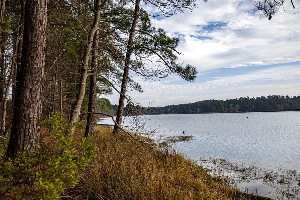 88.84 acres in Shelby County - photo 9