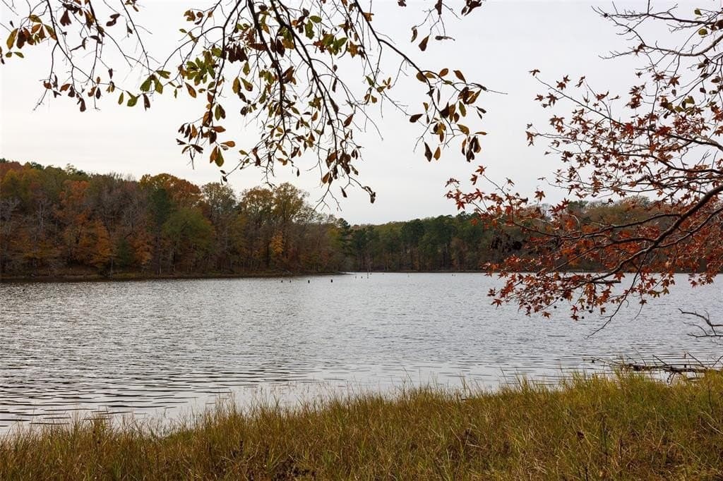 88.84 acres in Shelby County - photo 12