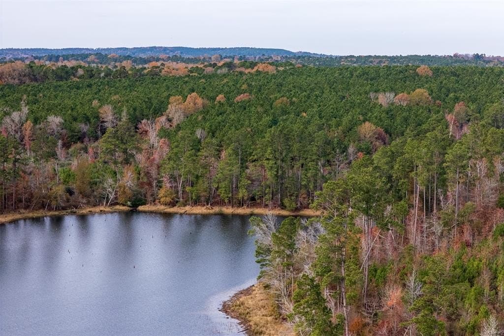 88.84 acres in Shelby County - photo 25