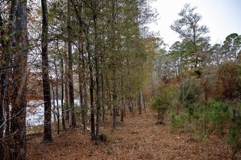88.84 acres in Shelby County - photo 10
