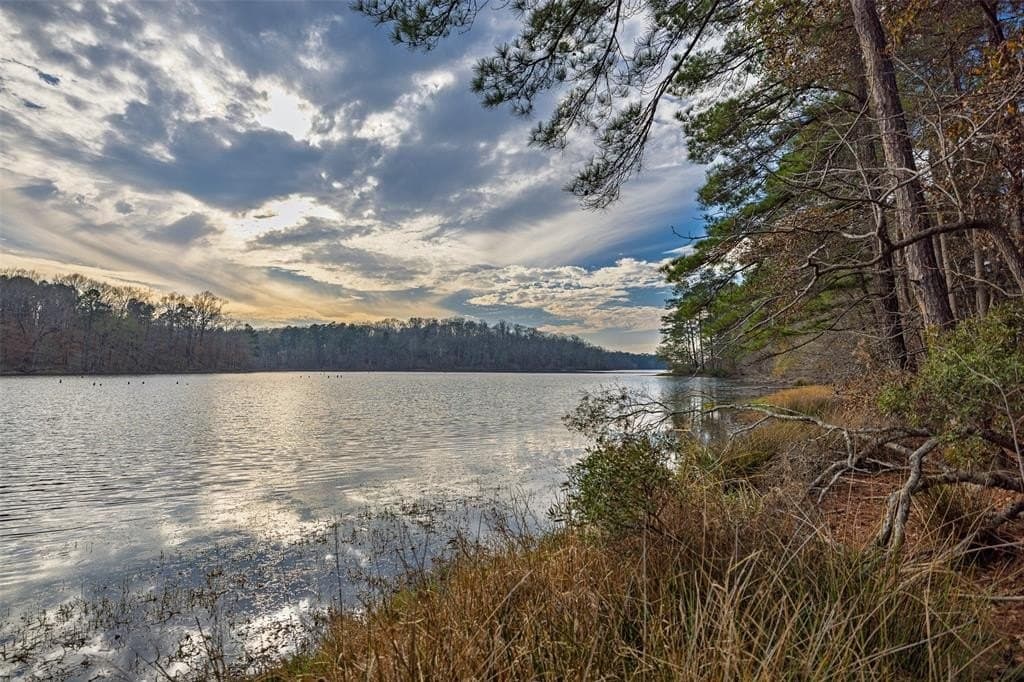 88.84 acres in Shelby County - photo 8