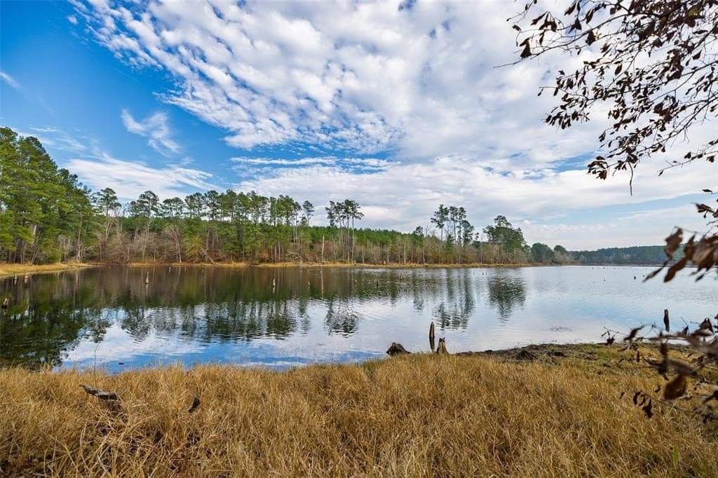88.84 acres in Shelby County - photo 7