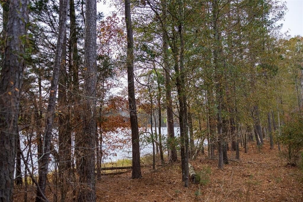 88.84 acres in Shelby County - photo 11